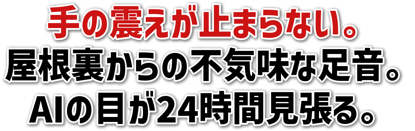 ̐k~܂ȂB̕sCȑBAI̖ڂ24ԌB